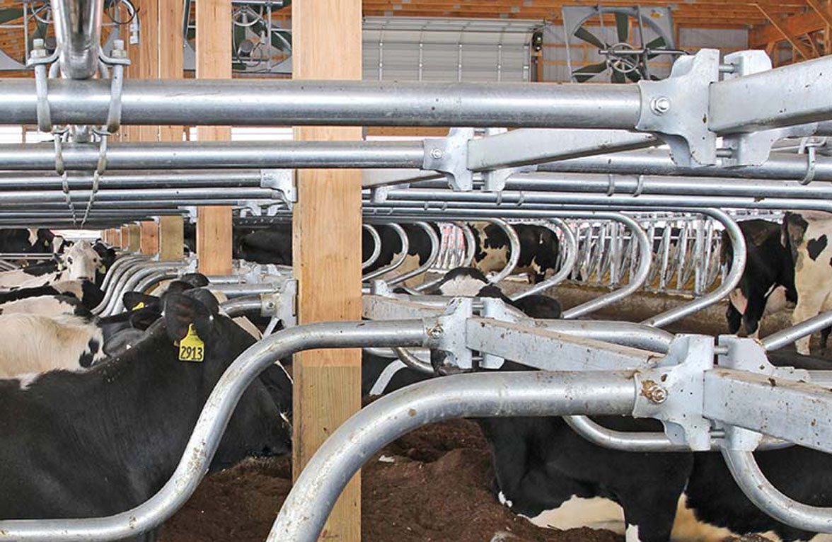 Photo-Freestall Ecco 